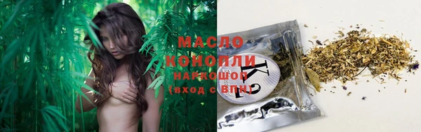 шишки Покачи