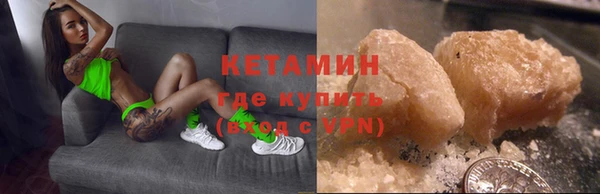 шишки Покачи