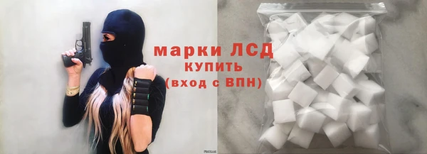 шишки Покачи