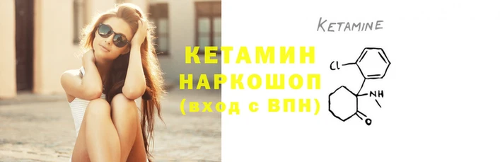 шишки Покачи