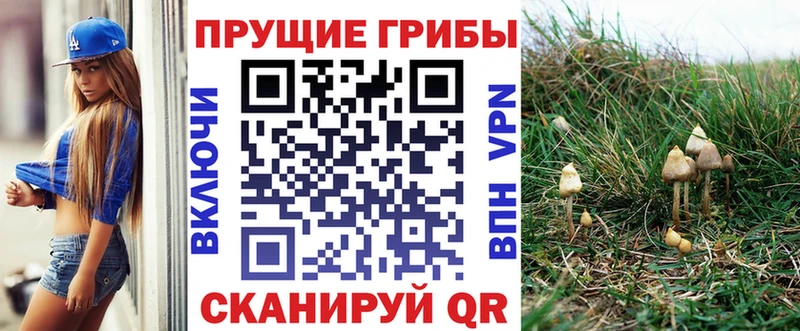Галлюциногенные грибы GOLDEN TEACHER  купить закладку  Инза 